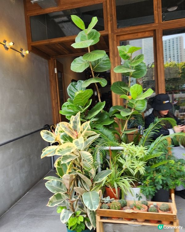 綠悠悠 By the tray cafe 🎈