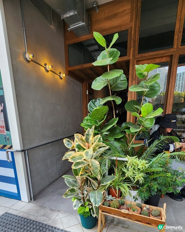 綠悠悠 By the tray cafe 🎈