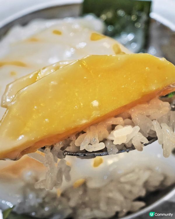 寵物🐶友善😋滋味🇹🇭泰菜