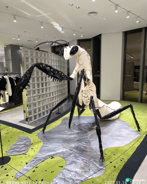 深圳萬象天地巨人展