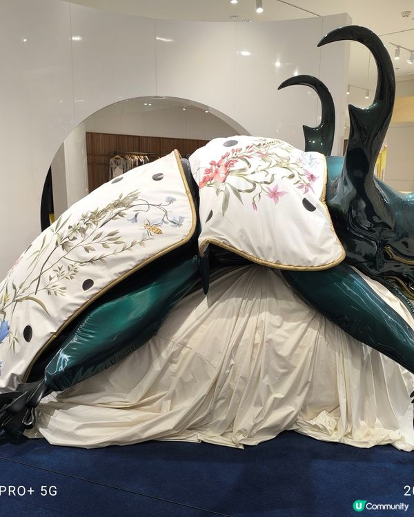 深圳萬象天地巨人展