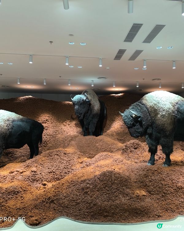 深圳萬象天地巨人展