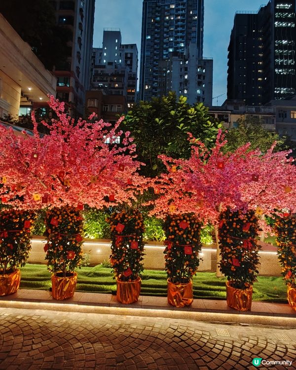 ## 利東街🏮新年燈籠海，祝你行好運！🎉