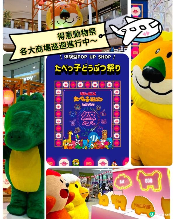 🦁🐤🐷得意動物祭🐔🦒🐊各大商場巡迴中～