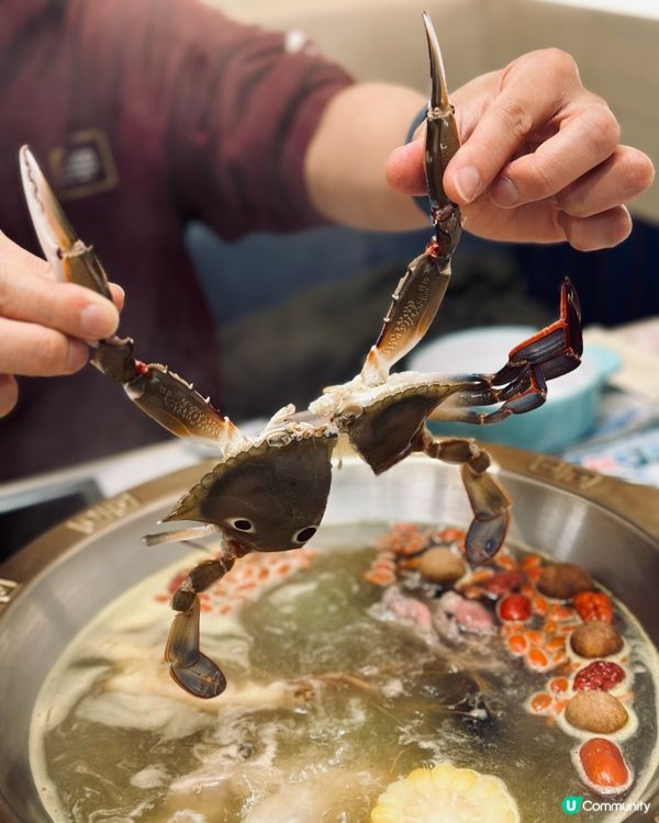 任撈任食實現海鮮自由 !!