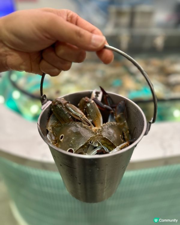 任撈任食實現海鮮自由 !!