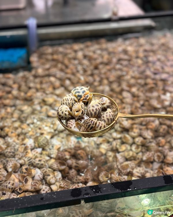 任撈任食實現海鮮自由 !!