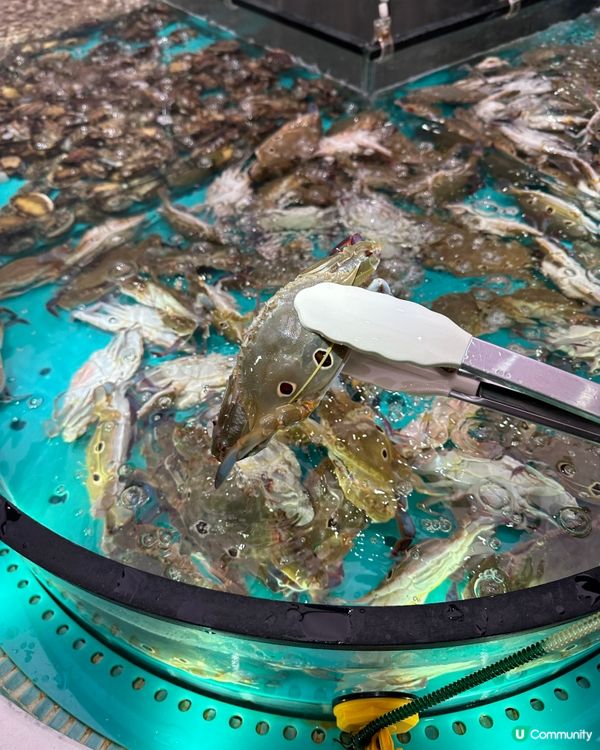 任撈任食實現海鮮自由 !!