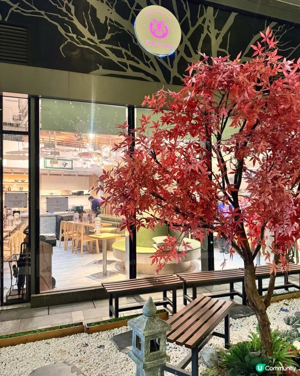 屯門新開和食屋 🦀🍜  花華拉麵試食報告！