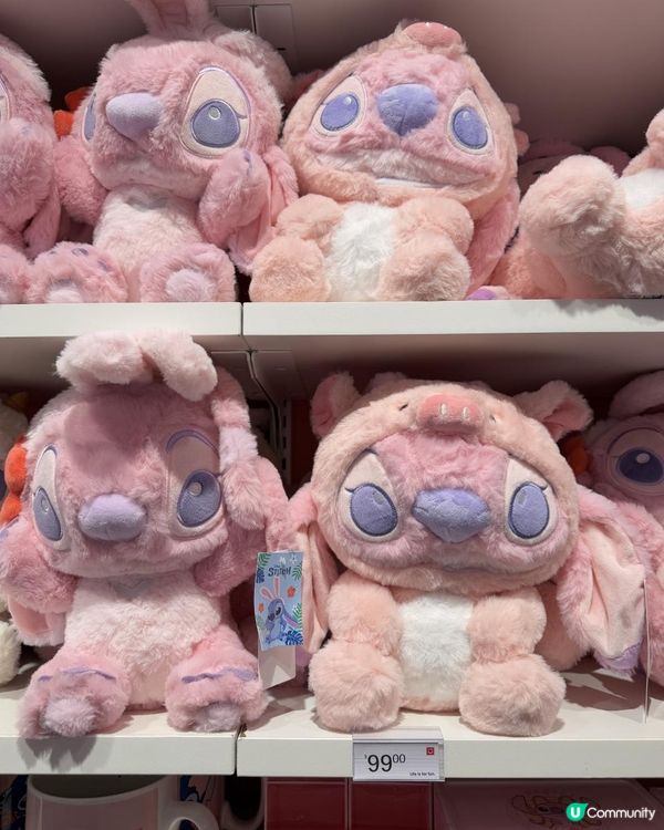 🧸🧸可愛毛公仔🧸🧸