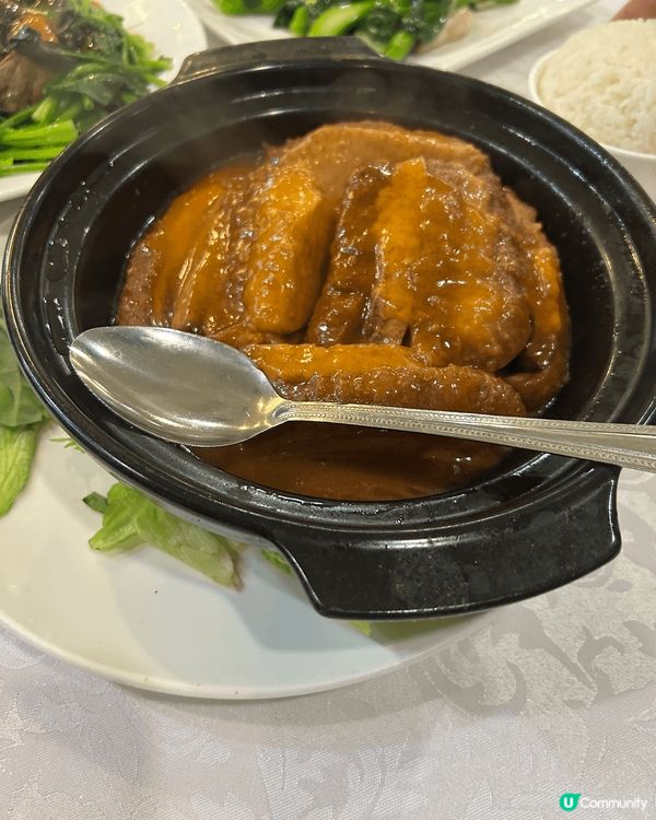 金巴開通左之後，方便左往來香港同澳門，可以隨時過澳門探望親戚...