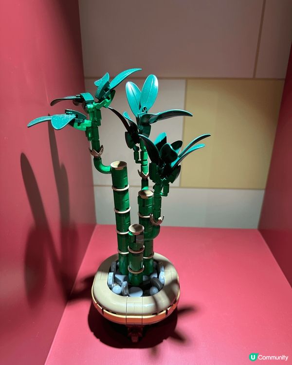 這些擺設都是用lego 拼砌出來的，難度都幾高同要用好多時間...