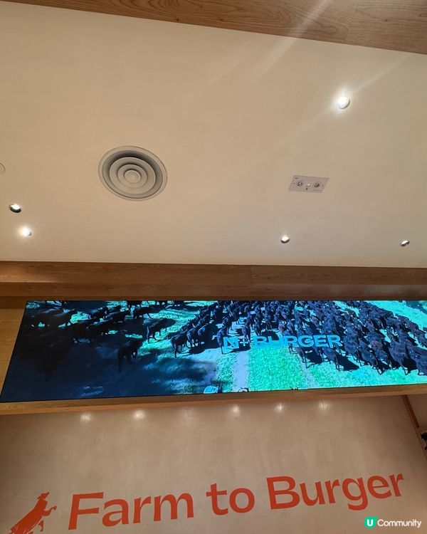 N+ Burger 澳洲牛漢堡🍔啟德新店開張啦！🎉