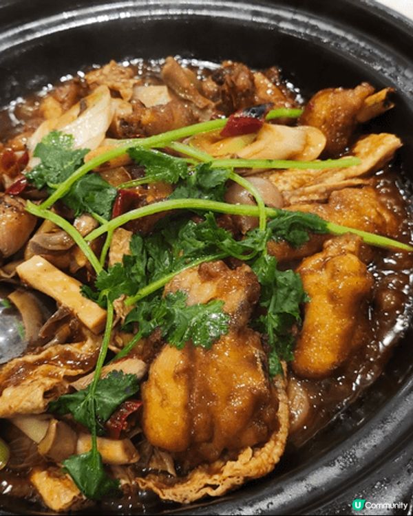 我最近去咗稻香超級漁港，去到睇到餐牌，真係哇一聲，大螃蟹震撼...