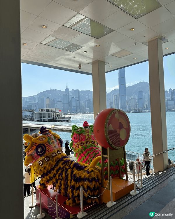 海港城彩獅賀新年 🎉  打卡必備！