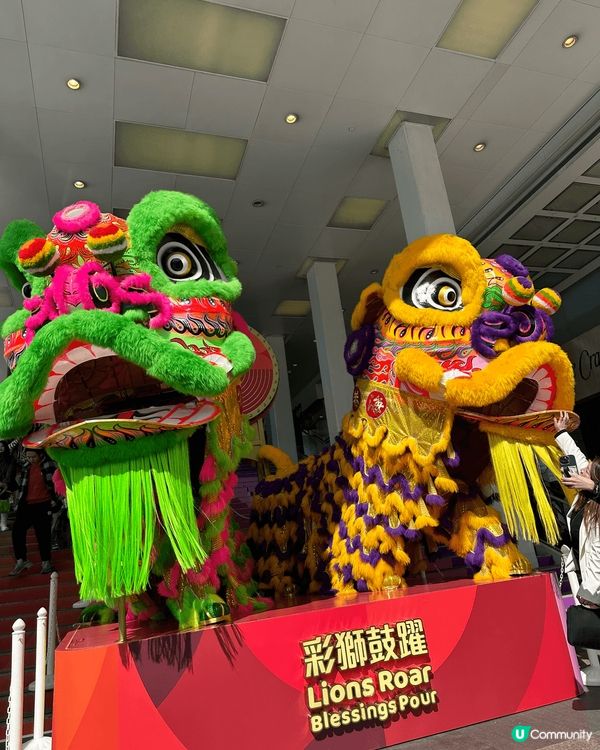 海港城彩獅賀新年 🎉  打卡必備！