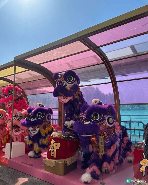 海港城彩獅賀新年 🎉  打卡必備！