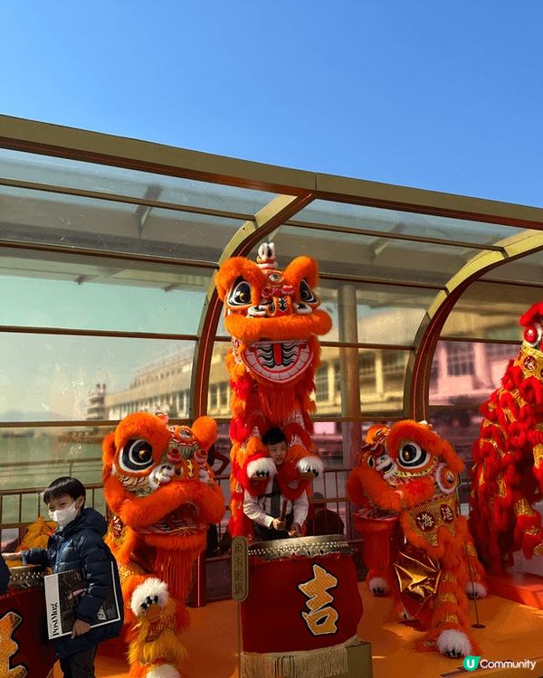 海港城彩獅賀新年 🎉  打卡必備！