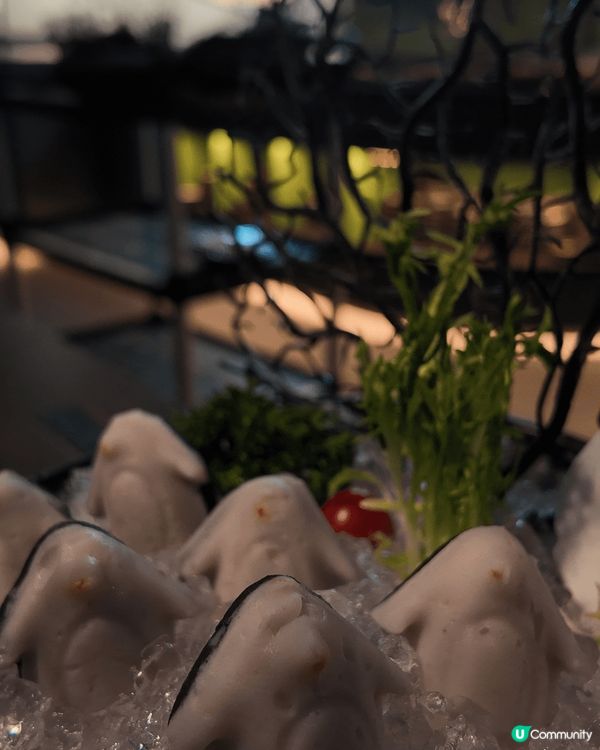 新年聚餐及圑年飯的時刻即將來臨，無論是家庭聚會還是朋友相聚，...