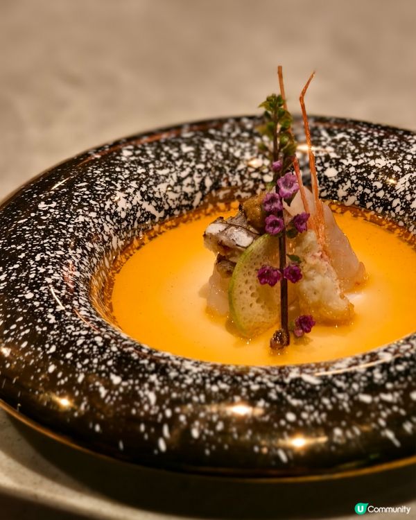 櫻花雪景，性價比超高Omakase