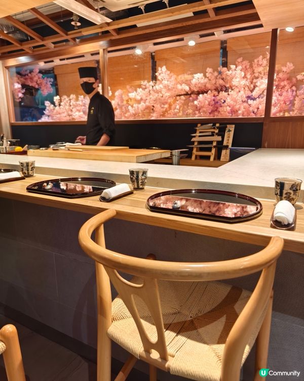 櫻花雪景，性價比超高Omakase