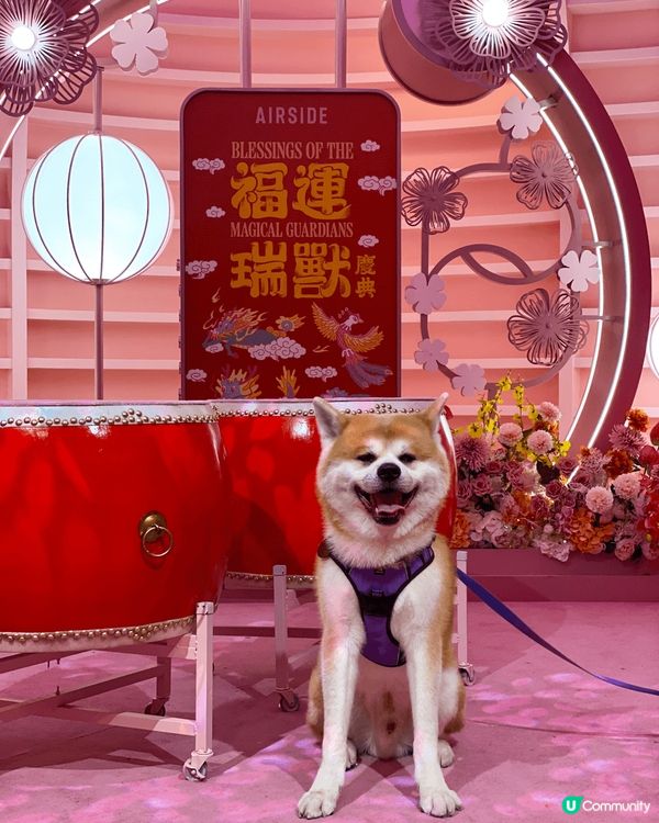 AIRSIDE《福運瑞獸慶典》齊集福龍🐉鳳凰🐦‍🔥麒麟🐲靈龜...