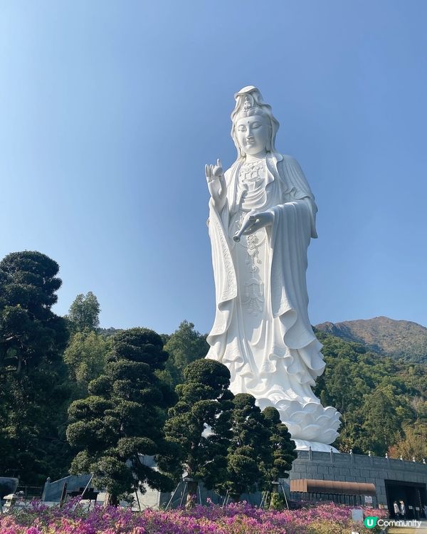 網上取圖，請勿介意，想問大家慈山寺是很難預約嗎？