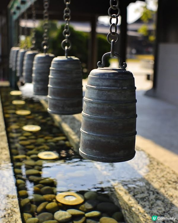 網上取圖，請勿介意，想問大家慈山寺是很難預約嗎？