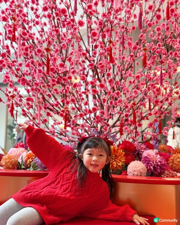 Popcorn「花影飄舞,喜慶盈門!｣🧧