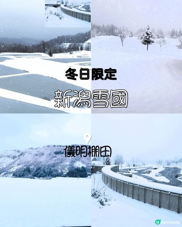新潟冬日棚田❄️ 白雪皚皚，神秘又美麗！