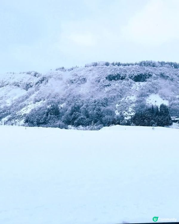 新潟冬日棚田❄️ 白雪皚皚，神秘又美麗！