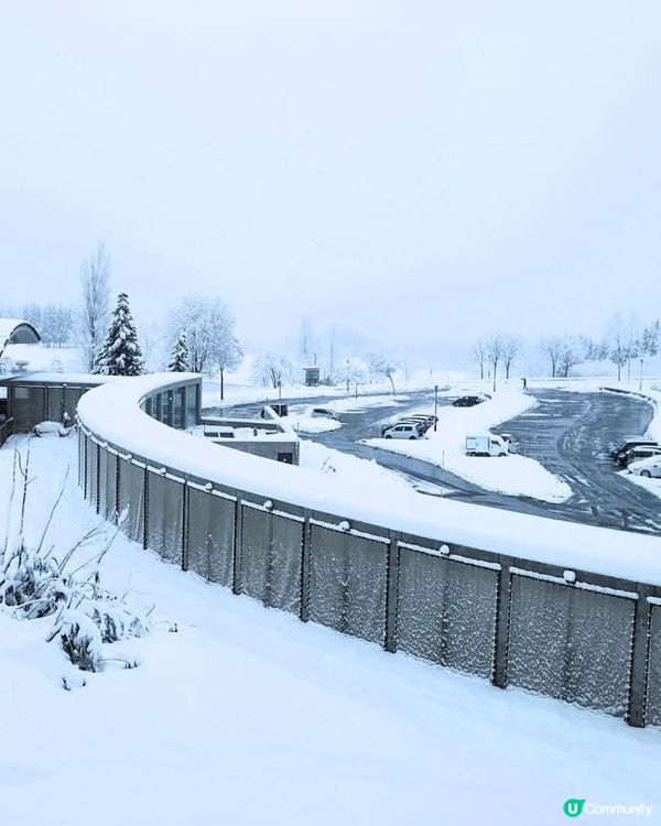 新潟冬日棚田❄️ 白雪皚皚，神秘又美麗！