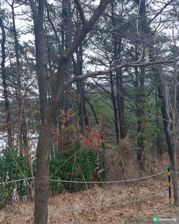 韓國行山🥶💨  保暖防風褸必備！