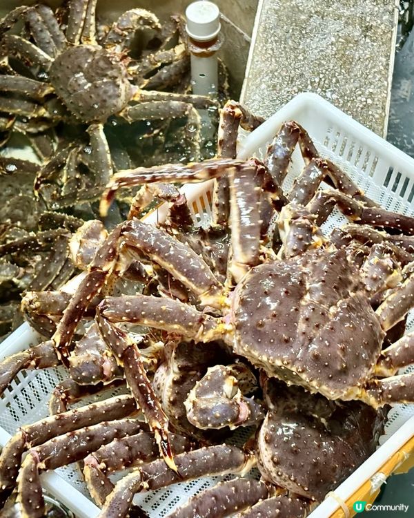 新東方海鮮大排檔,帝王蟹鮮到震!🤤