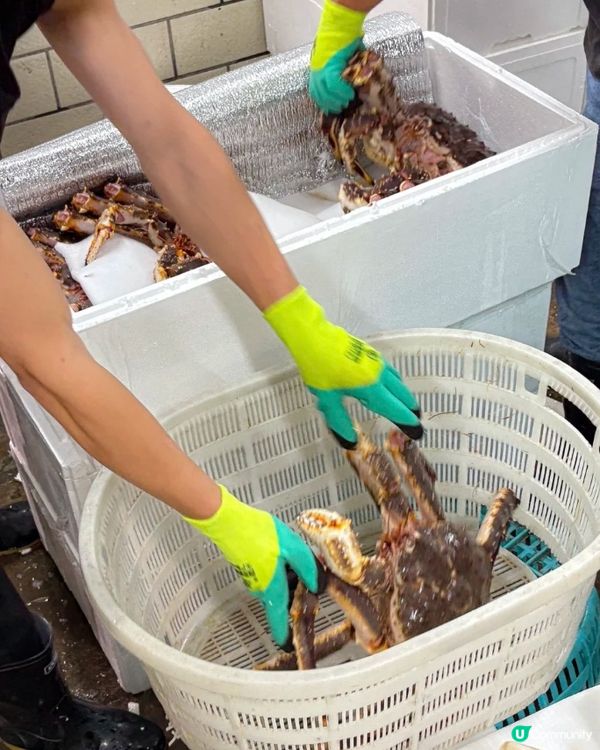 新東方海鮮大排檔,帝王蟹鮮到震!🤤