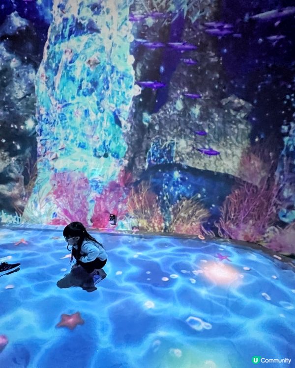 澳門光影展🤩  海洋濠鏡  🌊  打卡必去！