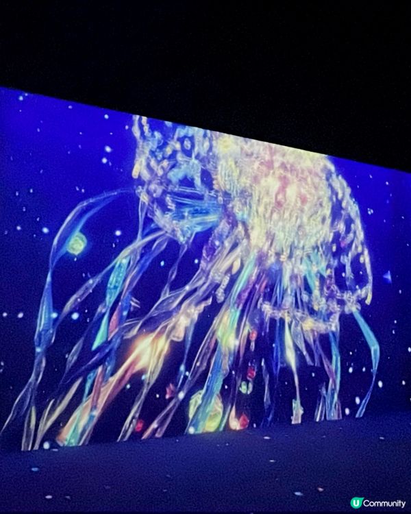 澳門光影展🤩  海洋濠鏡  🌊  打卡必去！