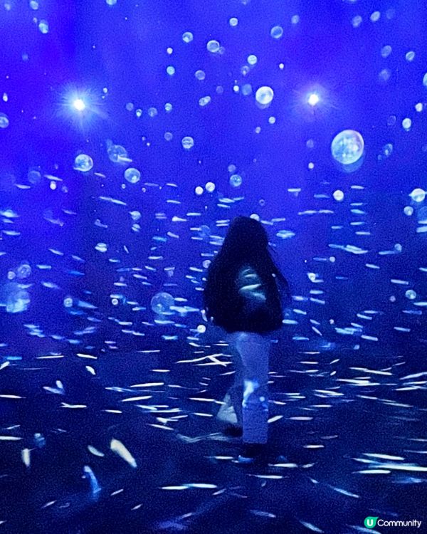 澳門光影展🤩  海洋濠鏡  🌊  打卡必去！