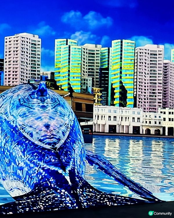 澳門光影展🤩  海洋濠鏡  🌊  打卡必去！