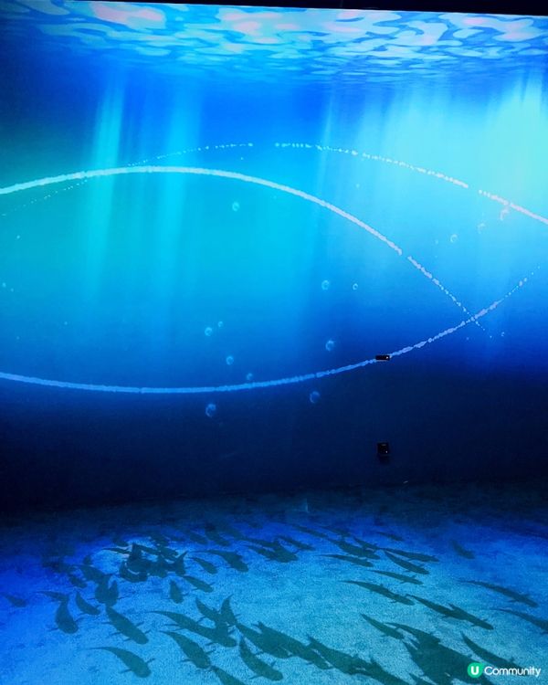 澳門光影展🤩  海洋濠鏡  🌊  打卡必去！