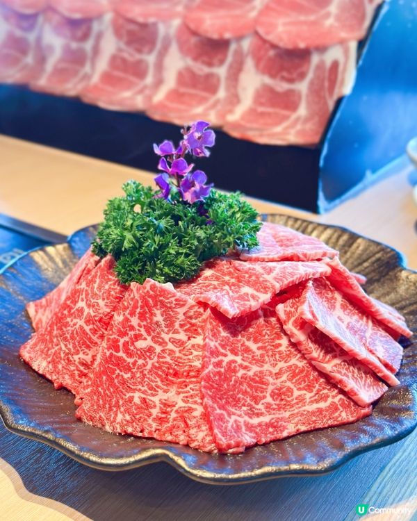 銅鑼灣肉多多🔥 食肉獸天堂！🤤