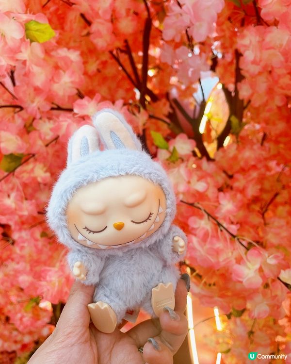 開箱Labubu盲盒🎁😝😝