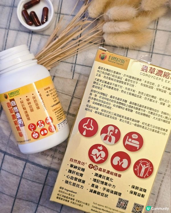 冬天護肺必備🌱自然良坊蟲草精華✨