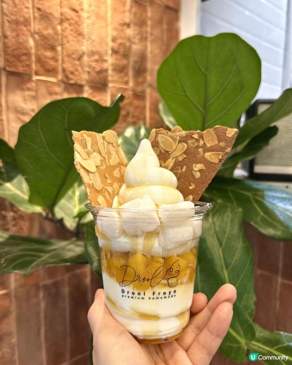 [咖啡控必試🙌🏻]Frozen Yogurt界新寵兒👑 Drool Froyo