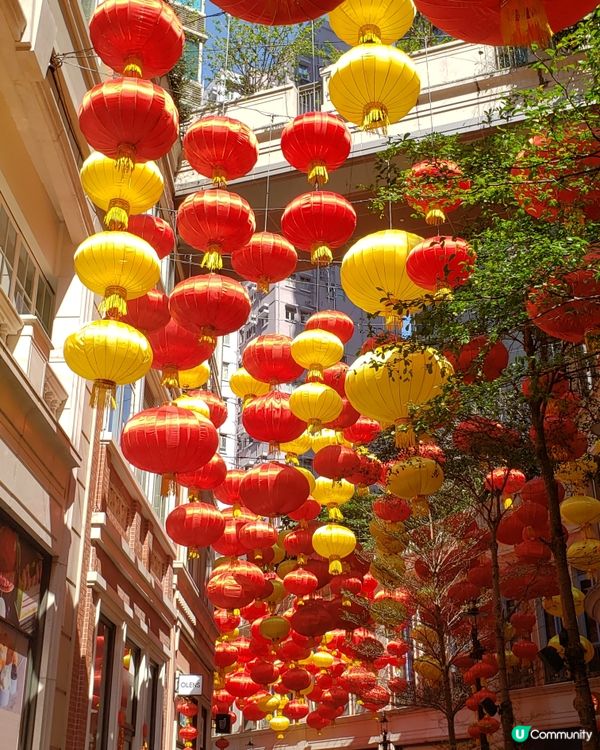🧧燈籠飄飄～利東街