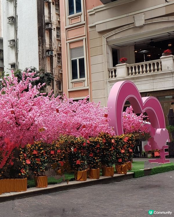 🧧燈籠飄飄～利東街