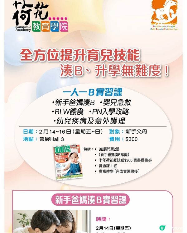 荷花BB展2月開鑼啦！🌸💖