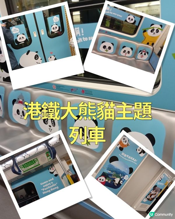 🐼 香港熊貓熱潮！搭熊貓專列去潮聖！