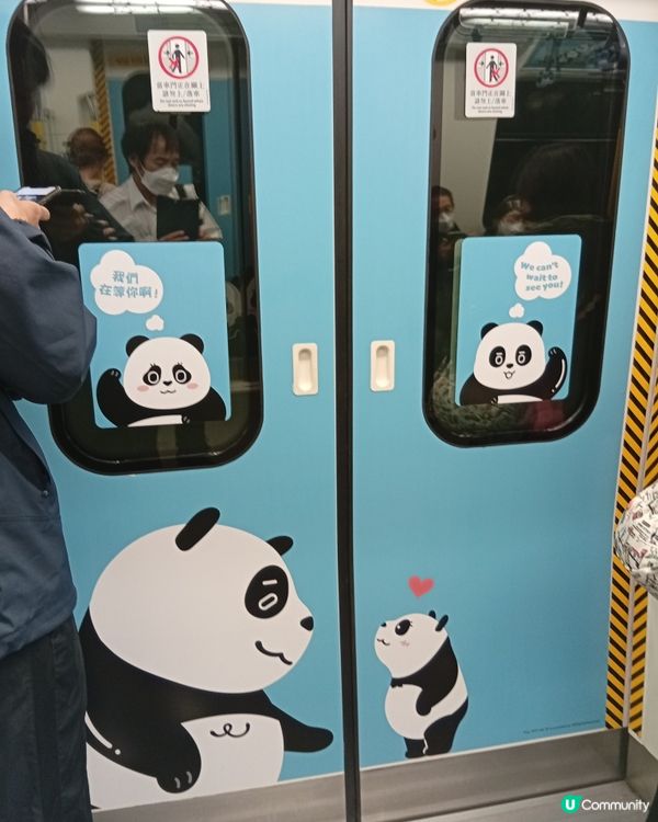 🐼 香港熊貓熱潮！搭熊貓專列去潮聖！