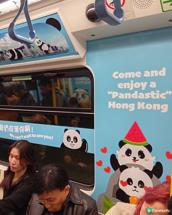 🐼 香港熊貓熱潮！搭熊貓專列去潮聖！